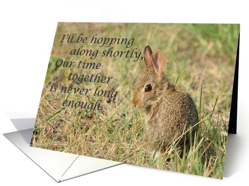 Goodbye/Farewell Bunny card (731890)