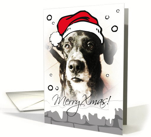 Christmas dog card (736218)
