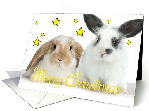 Christmas Rabbits twins card (736244)