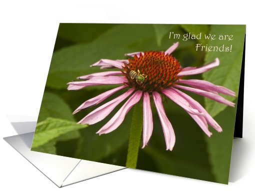 I'm glad we are Friends! Purple Coneflower and Bee Card. card (781676)
