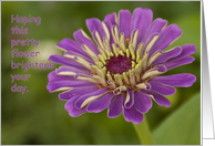 A Flower to Brighten your day. Purple Zinnia card
