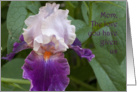 Mom’s Iris card
