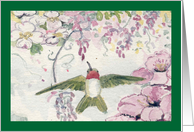 Hummingbird in Wisteria card