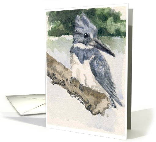 Belted Kingfisher card (747328)