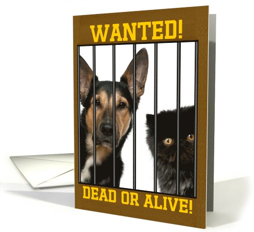 Wanted, Dead or Alive! April Fools humor custom photo card (1055827)