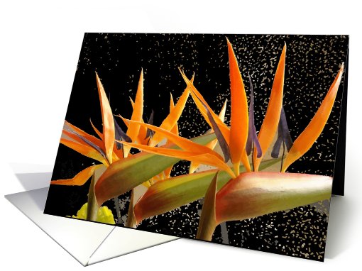 Birds of Paradise. (Be My Bridesmaid?) card (784944)
