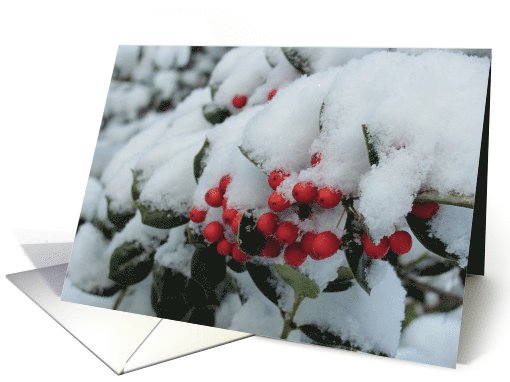 Berries In Snow
 card (738551)