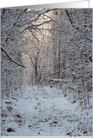 WINTER JOURNEY card