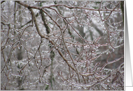 ICICLES card