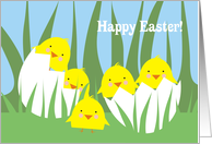 Cute kawaii hatching egg chicks Easter cards