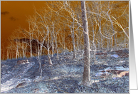 Ramapo Park, NJ card