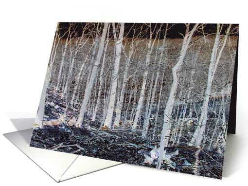 The Woods at Ramapo Park card (753087)