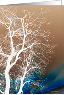 Moon Washed Tree card