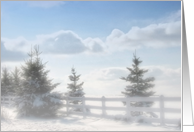 Winter Wonderland card