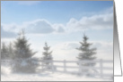 Winter Wonderland card