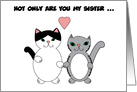 Sister Cats Love Best Friend card