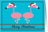Merry Christmas Pink Flamingos with Santa Hats card