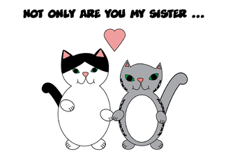 Sister Cats Love...
