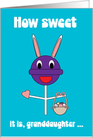 For Granddaughter Easter Sweet Cute Purple Lollipop Funny Bunny Rabbit card