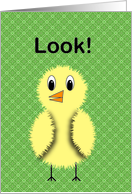 Look Chick Birthday Card