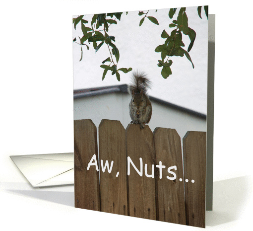 Aw Nuts Squirrel Belated Birthday card (825274)