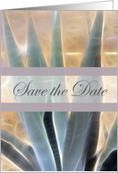 Save the Date Glowing Blue Agave card