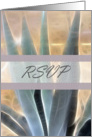 RSVP Glowing Blue Agave card