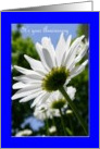 Employee Anniversary Daisy Business card