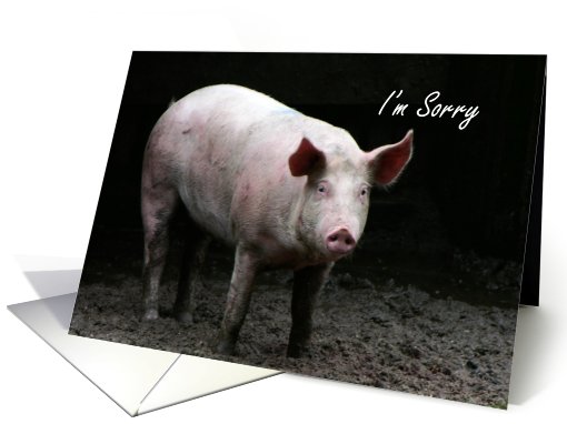Humor sorry for being a pig card (757499)