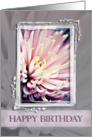 Happy Birthday Pink Chrysanthemum card