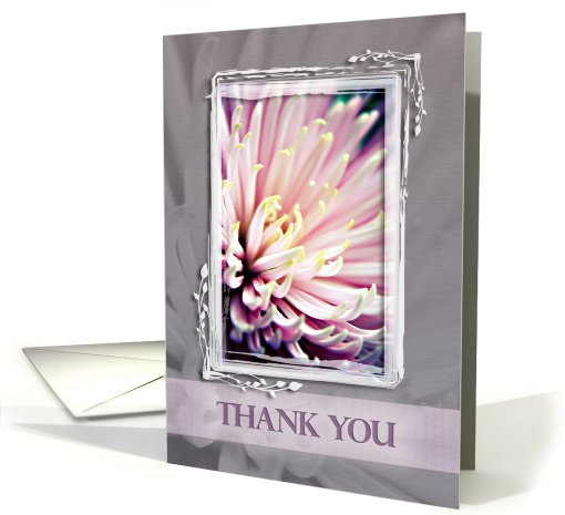 Pink Chrysanthemum Thank You card (814775)