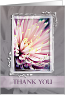 Pink Chrysanthemum Thank You card