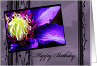 Purple Clematis flower Happy Birthday card
