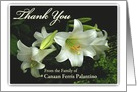 Thank You for Your Sympathy, White Lilies, Custom Front card