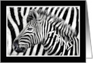 Zebra Print Thank You Note Thanks Written in Zebra’s Stripes card