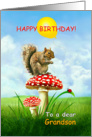 To Grandson, Happy Birthday Squirrel on a Toadstool card