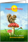 To Granddaughter, Happy Birthday Squirrel on a Toadstool card