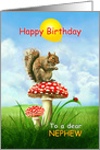 To Nephew, Happy Birthday to Nephew, Cute Squirrel on a Toadstool card