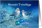 Season’s Tweetings to Son, Christmas Birds in Snowy Tree card