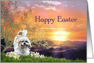 Happy Easter from Pet, Shih Tzu Dog and Lilies at Easter Sunrise card