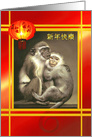 Chinese New Year of the Monkey with Monkeys & Chinese Lantern card