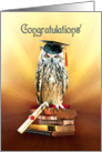 Graduation Congratulations, Graduate Owl in Cap with Diploma card