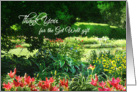 Thank You for the Get Well Gift, Sunny Garden with Red Lilies card