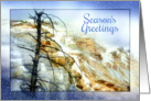Season’s Greetings Yellowstone Park Mammoth Hot Springs Winter card