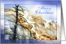 Merry Christmas Yellowstone Park Mammoth Hot Springs in Winter card