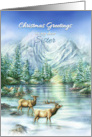 Christmas Greetings to My Sister Snowy Mountains Lake & Elk card