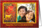 Chinese New Year of the Monkey Photo Card for Custom Relation card
