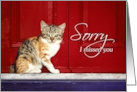 Sorry I Missed You Welcome Wagon for New Neighbor with Cat at Door card