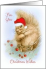 Merry Christmas Squirrel with Santa Hat Warm & Fuzzy Christmas card