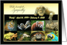 Sympathy for the Loss of Zoo Animal, Monkey and Animals, Custom card